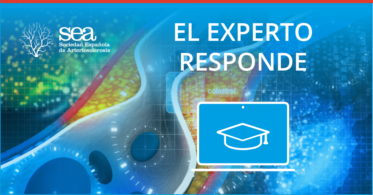 EL EXPERTO RESPONDE